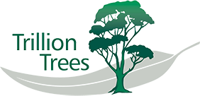 Trillion Trees